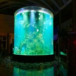 China benutzerdefinierte billig super große runde pmma glas aquarien klar zylinder acryl aquarien