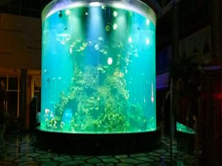China benutzerdefinierte billig super große runde pmma glas aquarien klar zylinder acryl aquarien