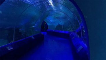 180 oder 90 Grad Acrylplatten für Aquarientunnel