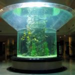 pmma Glasaquarien-Aquarium mit Halbzylinder aus Plexiglas