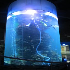 klares acryl zylinder großes aquarium für aquarien oder ozeanpark