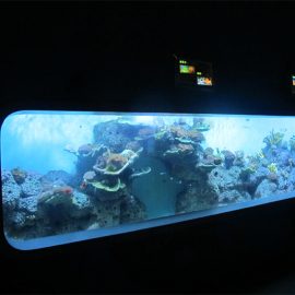 Künstliches Cast Acryl zylinderförmig Transparentes Fischaquarium / Sichtfenster