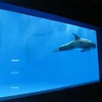 Hohe Qualität Großes Acryl-Aquarium / Pool-Fenster unter Wasser dicken Fensterscheiben