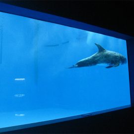 Hohe Qualität Großes Acryl-Aquarium / Pool-Fenster unter Wasser dicken Fensterscheiben