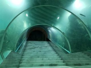 Acryl-Tunnel-Aquarium-Projektpreis