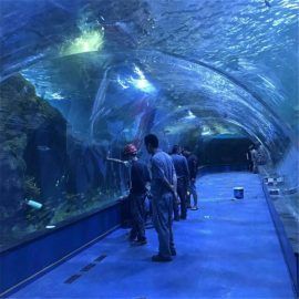 Aquarien des Acryltunnel-Ozeanariums in der Öffentlichkeit