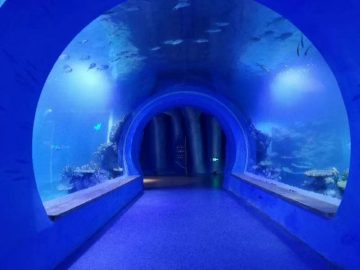 Hoch klares großes Acryl-Tunnelaquarium in verschiedenen Formen