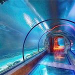 Acryl-Aquarium-langer Tunnel des modernen Designs