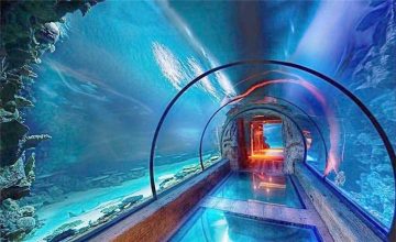 Acryl-Aquarium-langer Tunnel des modernen Designs