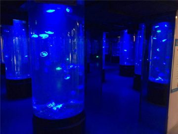 Acrylquallen-Aquariumglas