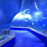 transparentes Acrylglas-Tunnel-Aquarium