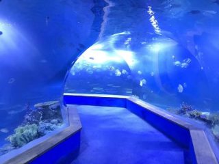 transparentes Acrylglas-Tunnel-Aquarium